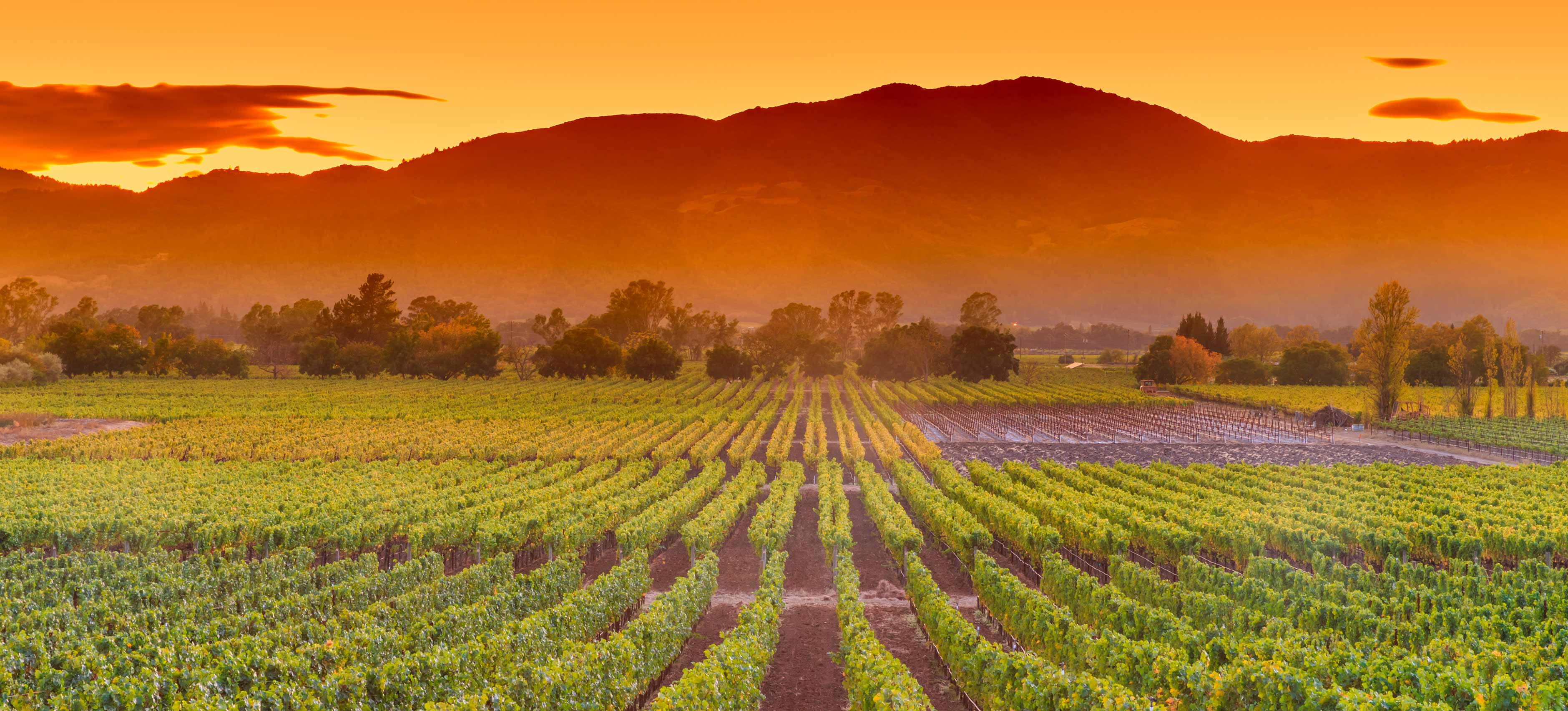Less traveled, beautiful Wine Countries of California