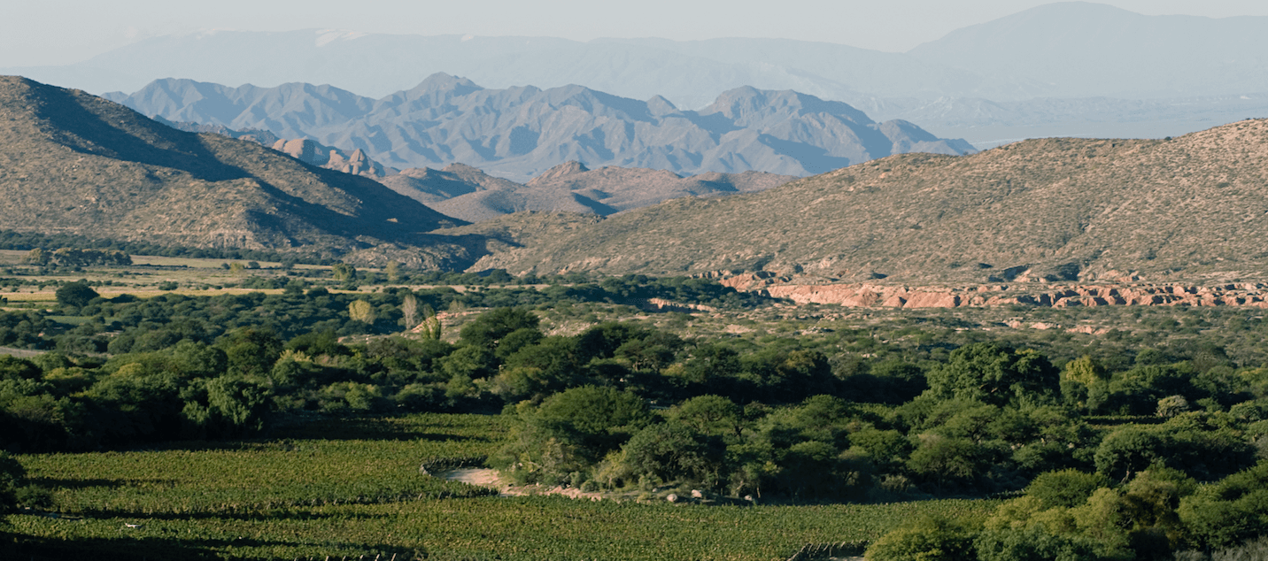 Road Tripping and Wine Tatsing through Salta Wine Country