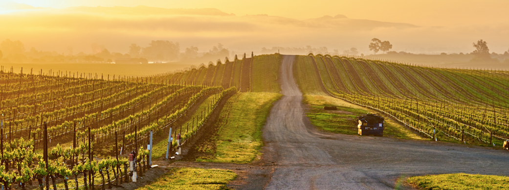 Top 5 wineries to escape to this Winter